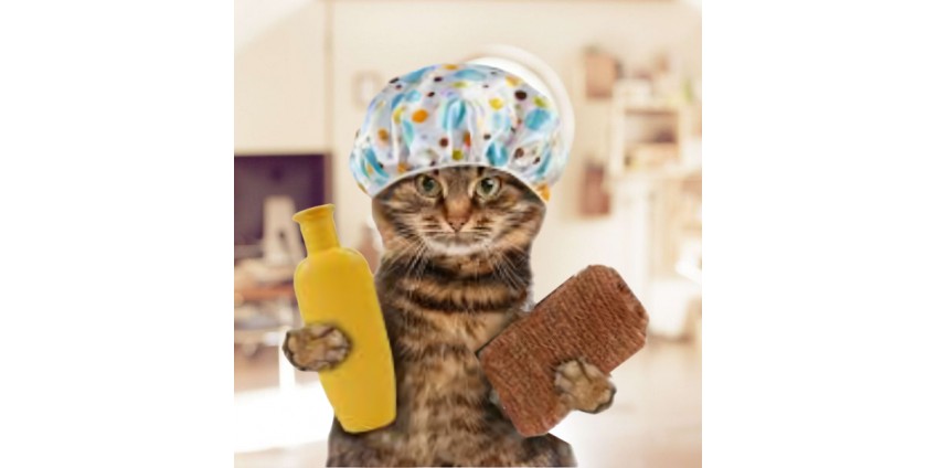 Шампуни для кошек и котят