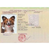 Ветеринарный паспорт / где и когда пригодится документ