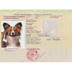 Ветеринарный паспорт / где и когда пригодится документ